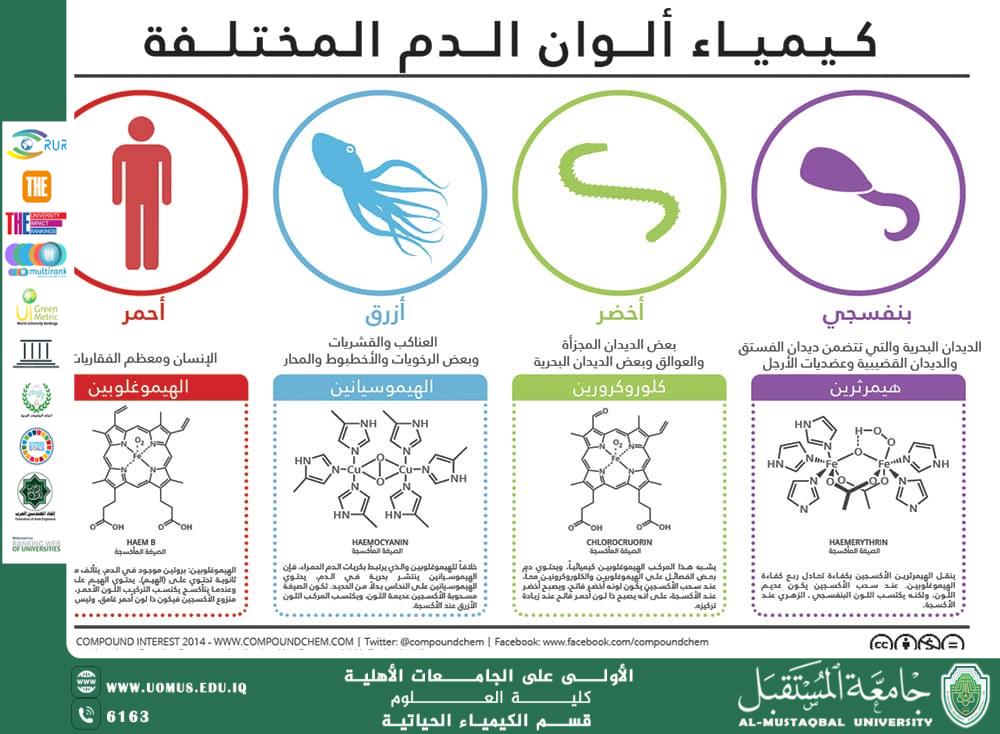 مقالة علمية للمعيدة حوراء علي بعنوان  كيمياء الدم: نافذتنا لفهم صحة الجسم