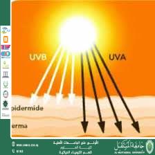 مقالة علمية للمعيدة حنين اياد بعنوان العلاقة بين التعرض للأشعة فوق البنفسجية وسرطان الجلد