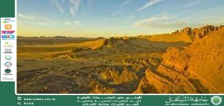 التصحر: الخطر الصامت الذي يهدد الأراضي والحياة