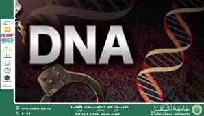 دور تحليل الحمض النووي في ربط الأدلة بالمشتبه بهم (م.م. هويدا نزال حسين)