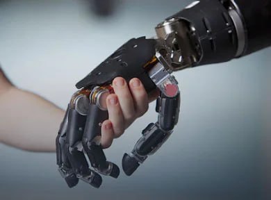 Sustainable Education in Prosthetics and Orthotics Engineering