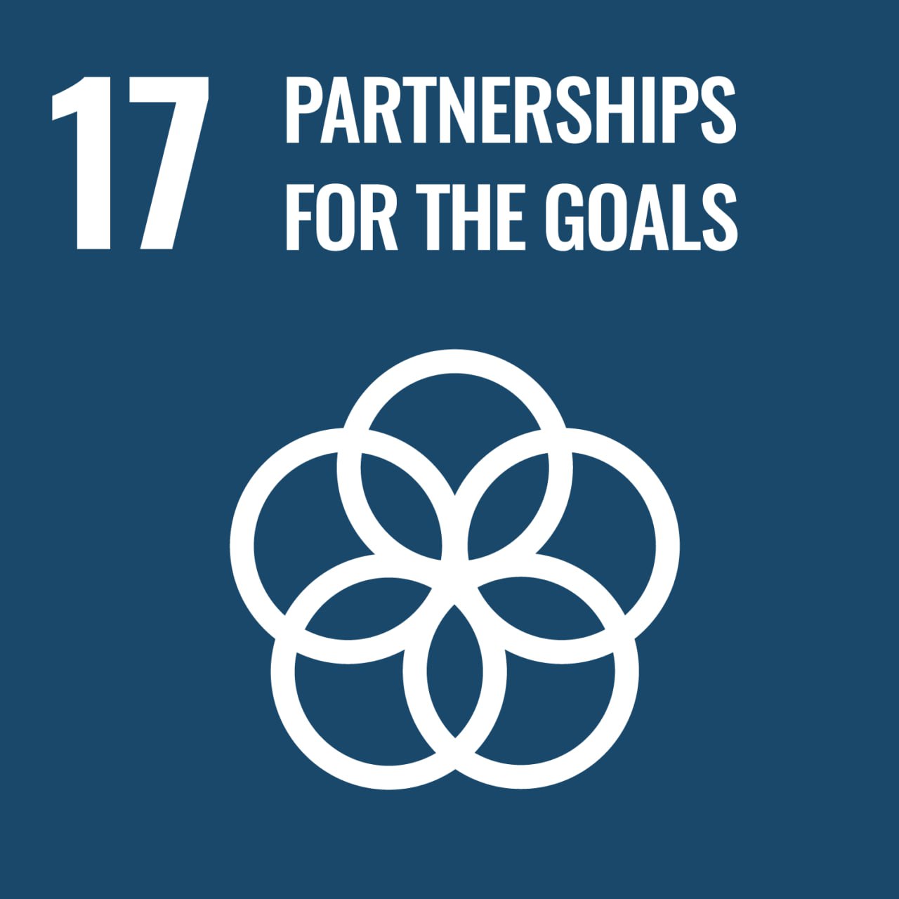 Strengthening Partnerships for Sustainable Development: A Look at Goal 17 in the Context of Prosthetics and Orthotics