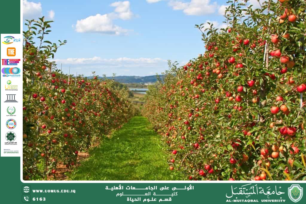 مقالة علمية للانسة نور الهدى عزمي  بعنوان "تأثير التقليم على إنتاجية ونمو الأشجار المثمرة"