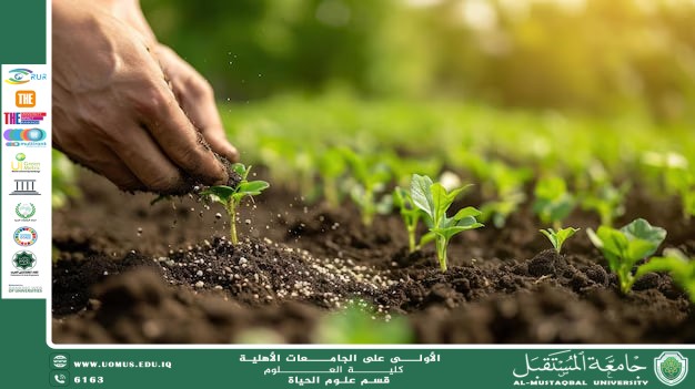 مقالة علمية للانسة نور الهدى عزمي حسن بعنوان "التسميد الدقيق والتحليل الدوري للتربة: مفتاح تحسين جودة المحصول واستدامة الزراعة"