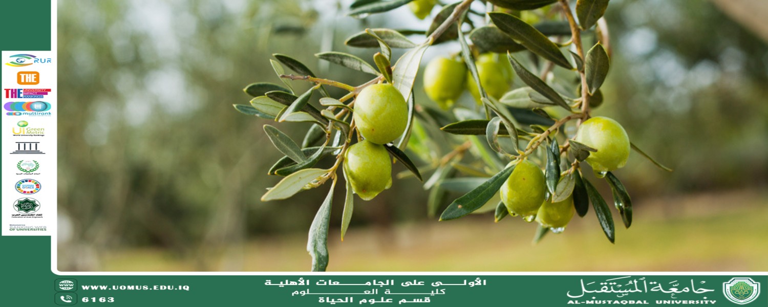 مقالة علمية للانسة نور الهدى عزمي  بعنوان " الاشجار الزيتية"