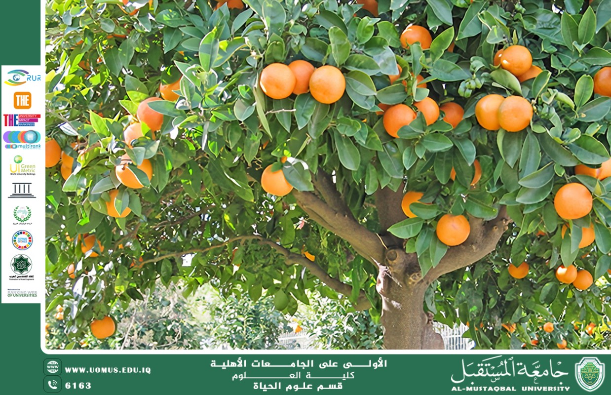 مقالة علمية للانسة نور الهدى عزمي  بعنوان " القيمة الغذائية لثمار الأشجار المثمرة وأثرها في تعزيز الصحة العام "