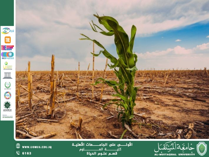 مقالة علمية للتدريسية م.م زينب ناظم عزيز  بعنوان " أثر التغيرات المناخية على زراعة الحبوب "