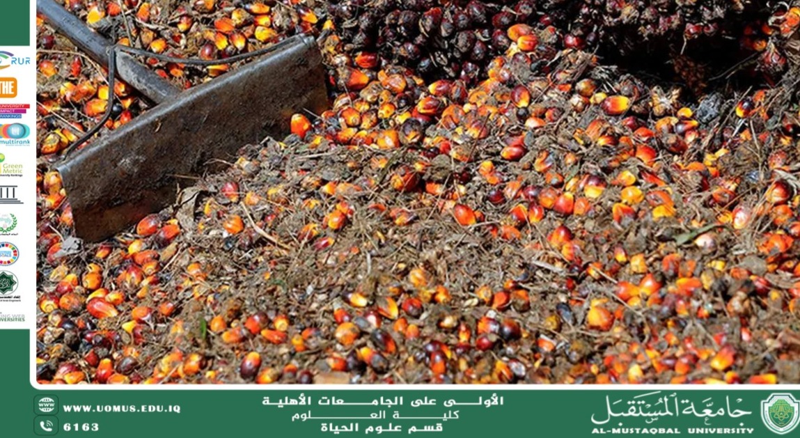 مقالة علمية للتدريسية م.م زينب ناظم عزيز  بعنوان "   إعادة تدوير المخلفات الزراعية: من النفايات إلى الثروات "