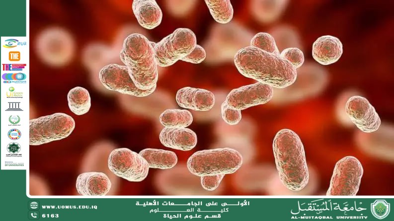 مقالة علمية للمعيدة بنين معن كريم بعنوان " البكتيريا الصديقة لصحة الجهاز الهضمي"