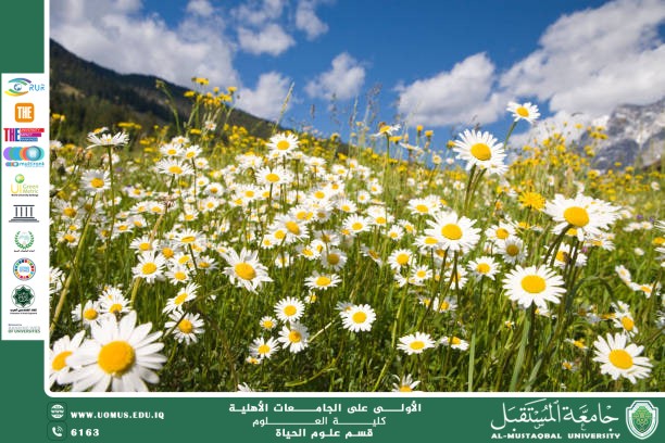 مقالة علمية للانسة نور الهدى عزمي حسن بعنوان "العلاقة بين بنية الزهرة والتكيف البيئي"