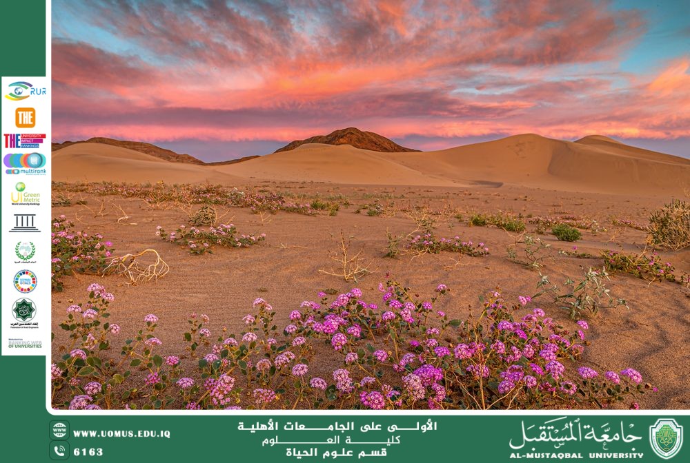 A scientific article by Ms. Banin Maan Karim entitled "Flower Transformations in Desert Environments"