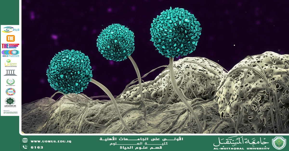 A scientific article by teaching assistant Banin Maan Karim entitled "The Role of Flowers in Symbiotic Relationships with Fungi and Bacteria"