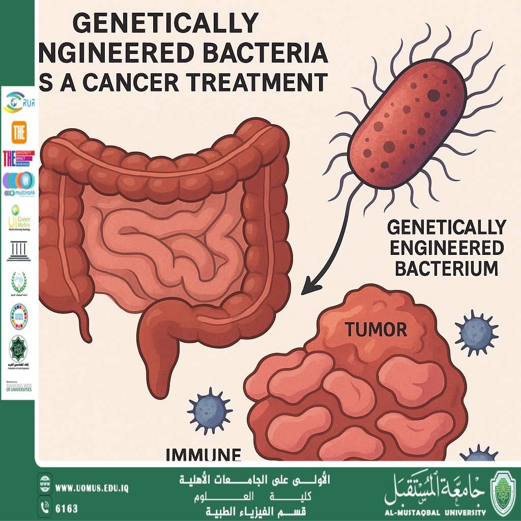 A scientific article by Assistant Professor (Maryam Reda Al-Sharaa) entitled “Genetically Modified Bacteria as a Treatment for Cancer: A Biological Revolution in the Fight Against the Disease”