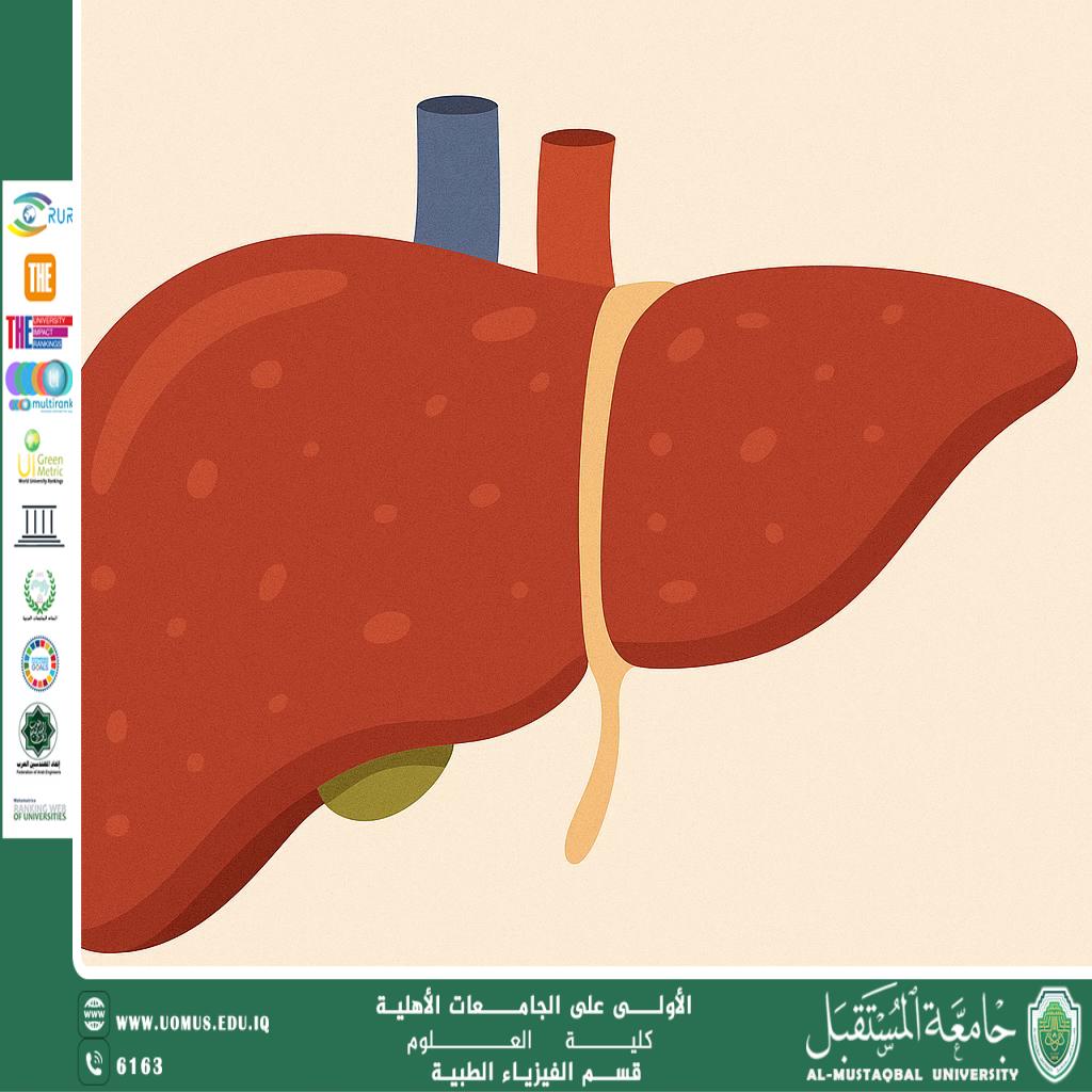 A scientific article by the teaching assistant (Hassan Hadi) entitled “The Liver and Detoxification: Fact and Myth”