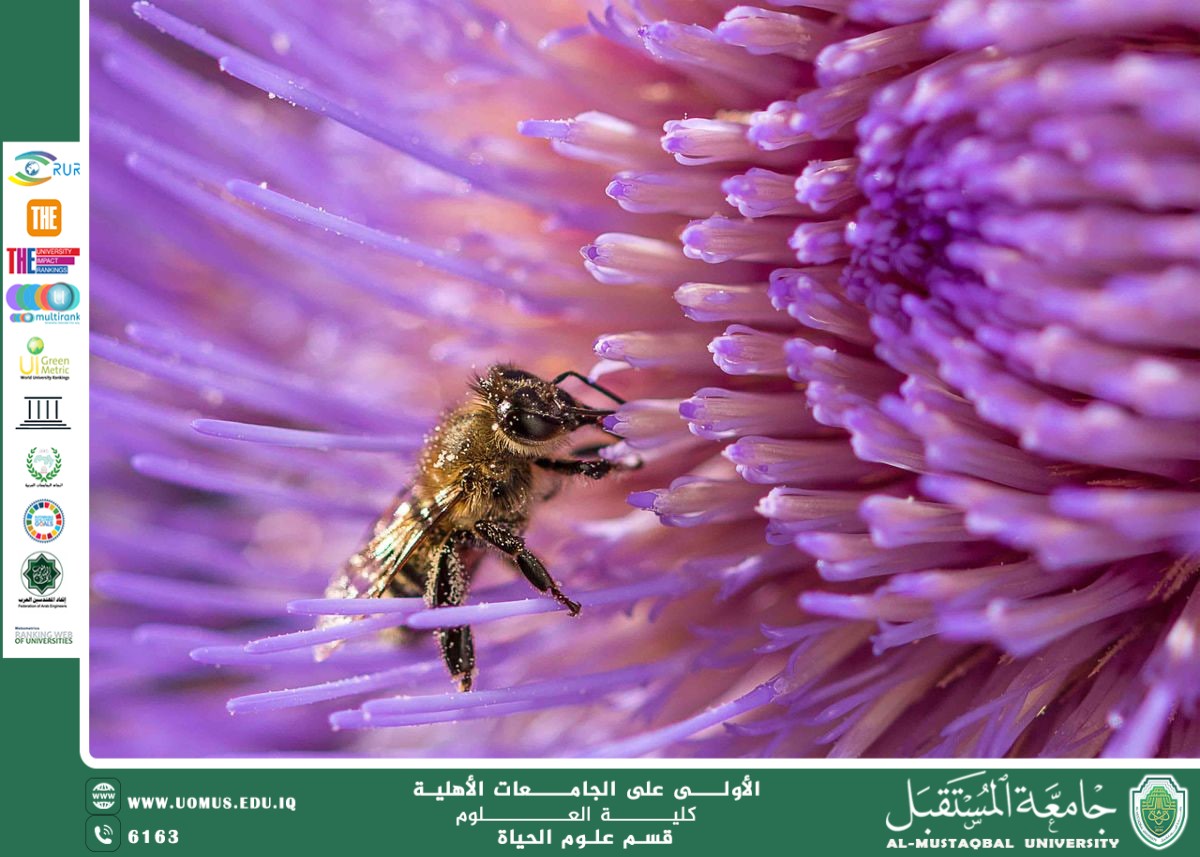 مقالة علمية للانسة نور الهدى عزمي حسن بعنوان "شبكات التلقيح: التفاعلات بين النباتات والحشرات"