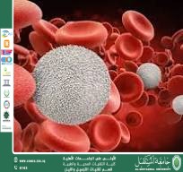 مقالة علمية للست شهد نورس عباس بعنوان كريات الدم البيض: خط الدفاع الأول في جسم الإنسان