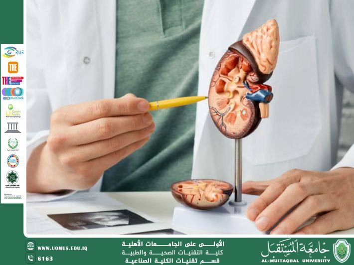 Difference Between Kidney Atrophy and Kidney Failure
