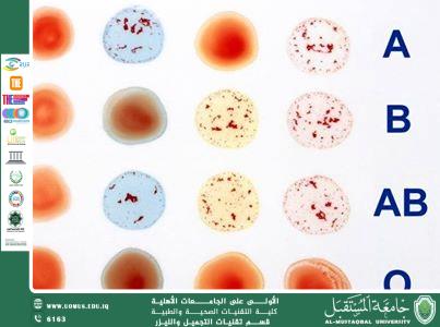 The Importance of Knowing Your Blood Type