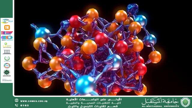 Enzymes in the Human Body: The Hidden Engine of Life