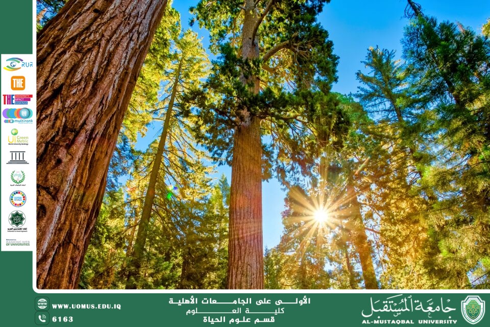 مقالة علمية للانسة نور الهدى عزمي حسن بعنوان  "المظاهر المناخية للنباتات"