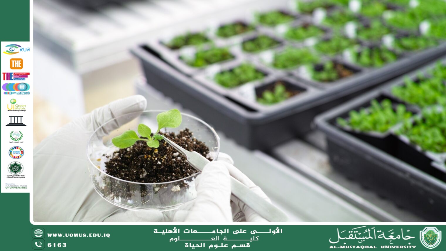 A scientific article by Ms. Noor El-Huda Azmi Hassan entitled " How to protect plants using biological methods.  "