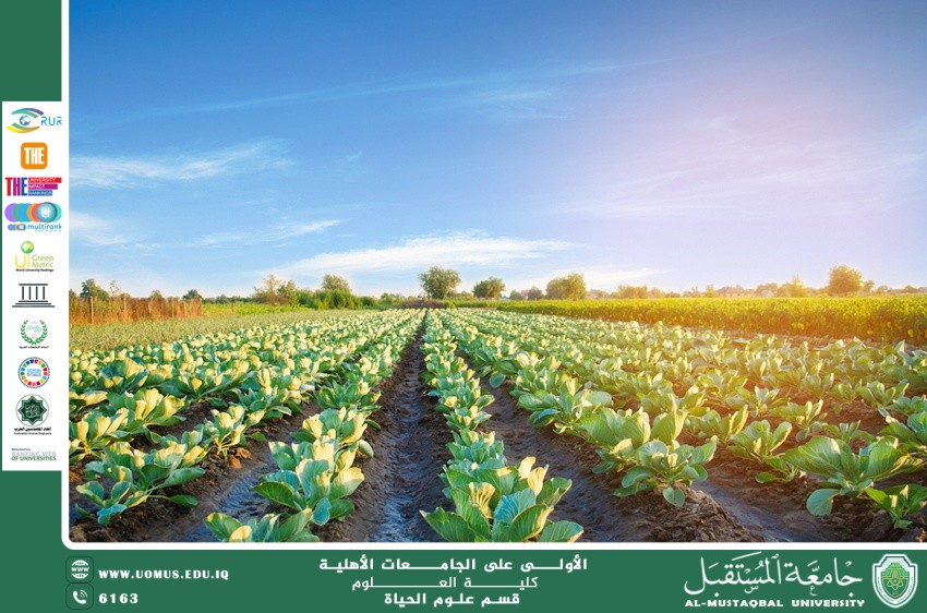 A scientific article by lecturer Msc. Zainab Nazim Aziz entitled "The Importance of Protected Agriculture in Reducing Waste and Achieving Food Security"