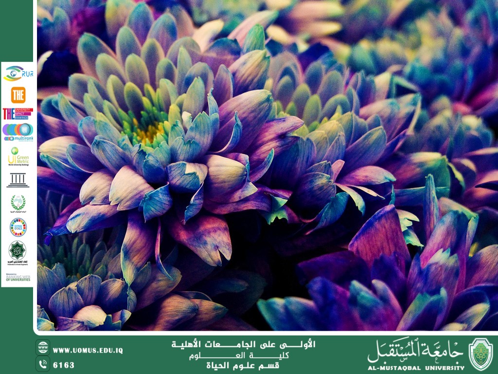 A scientific article by Ms. Noor El-Huda Azmi Hassan entitled "Genetically Modified Plants"