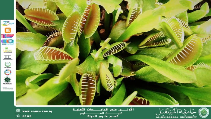 مقالة علمية للانسة نور الهدى عزمي حسن بعنوان "النباتات المفترسة "