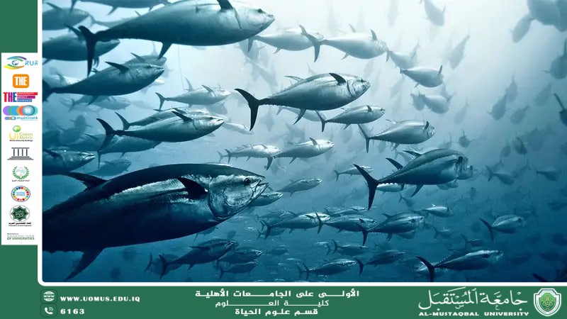 A scientific article by teaching assistant Banin Maan Karim entitled "The impact of temperature changes on the life of marine organisms"