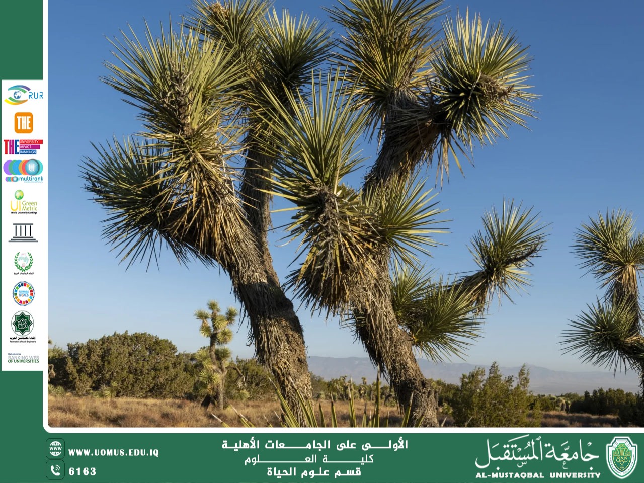 مقالة علمية للتدريسية م.م زهراء جواد كاظم  بعنوان "تكيف وتحمل الإجهاد البيئي: الأشجار كنموذج حي للمرونة"