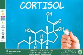 مقالة علمية للست شهد نورس عباس بعنوان الكورتيزول: هرمون التوتر وأثره في الجسم