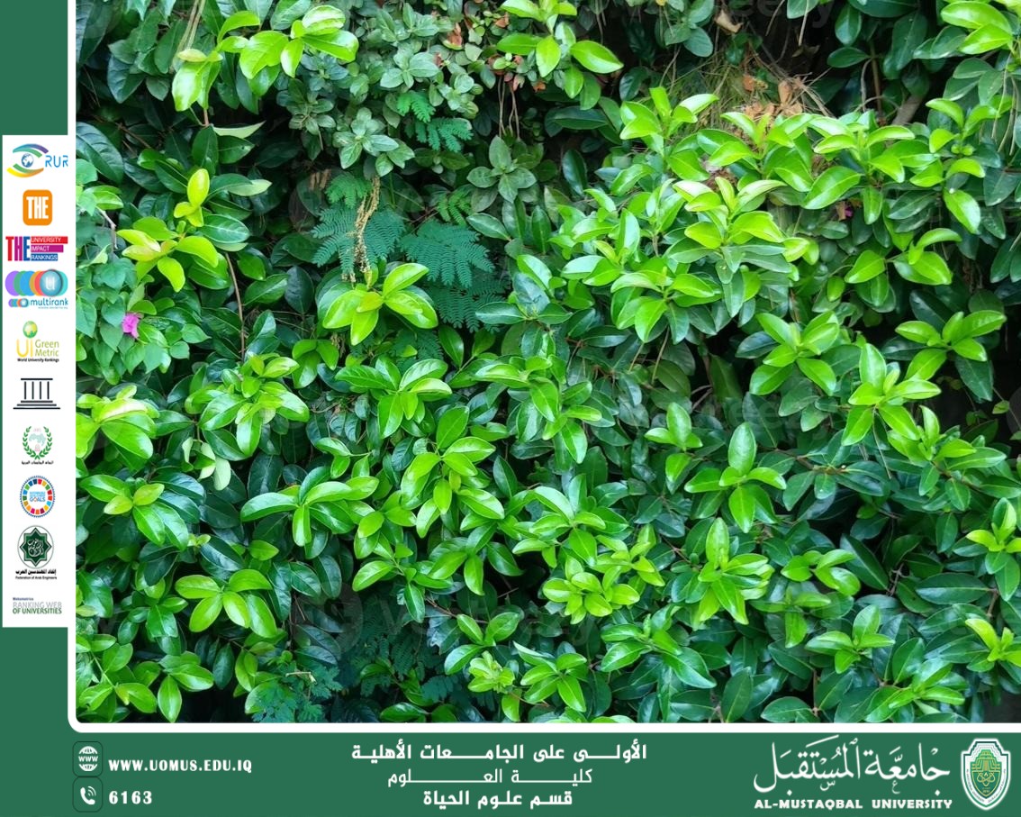 مقالة علمية للمعيدة بنين معن كريم بعنوان "النباتات الملحية"