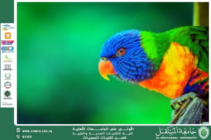 مقالة علمية للتدريسي م.م. مهيمن سمير عارف/ المعيدة دانه محمد سالم (الرؤية في الحيوانات)