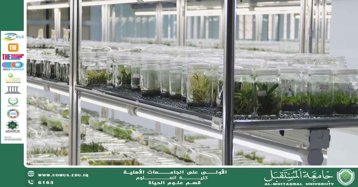 مقالة علمية للانسة نور الهدى عزمي حسن بعنوان "الميكروبات النافعة في الزراعة"