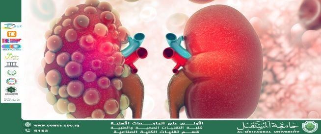 Polycystic Kidney Disease: Symptoms, Causes, and Treatment