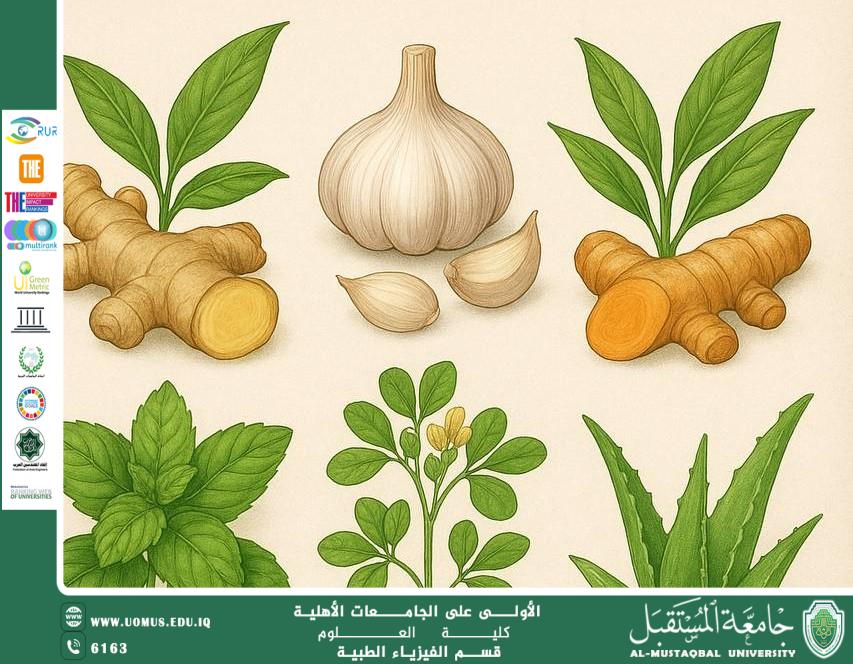 A scientific article by the administrator (Nour Issa) entitled “The 10 Most Famous Medicinal Plants and Their Scientifically Proven Health Benefits”