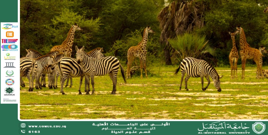 مقالة علمية للانسة نور الهدى عزمي حسن بعنوان "العلاقات الغذائية في السلاسل البيئية للحيوانات"