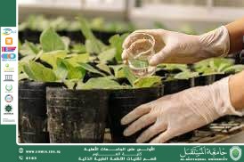 Pharmaceutical Agriculture: How Genetically Modified Plants Can Produce Sustainable Medicines (By: Programmer Huda Khudair Hani)