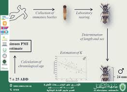 الحشرات كمؤشرات بيئية في التحقيقات الجنائية (م.م. هويدا نزال حسين)