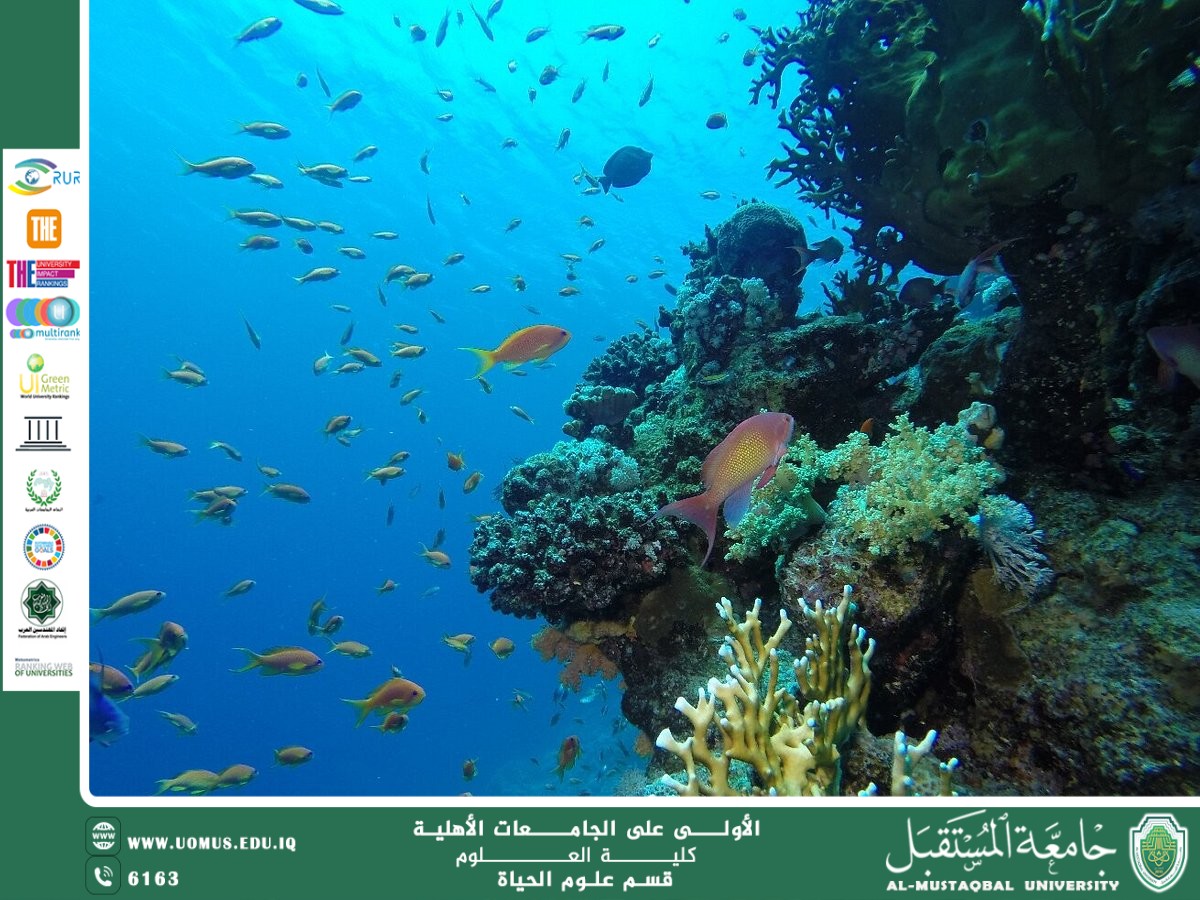 A scientific article by Ms Noor al-huda Azmi Entitled " Marine ecosystems"