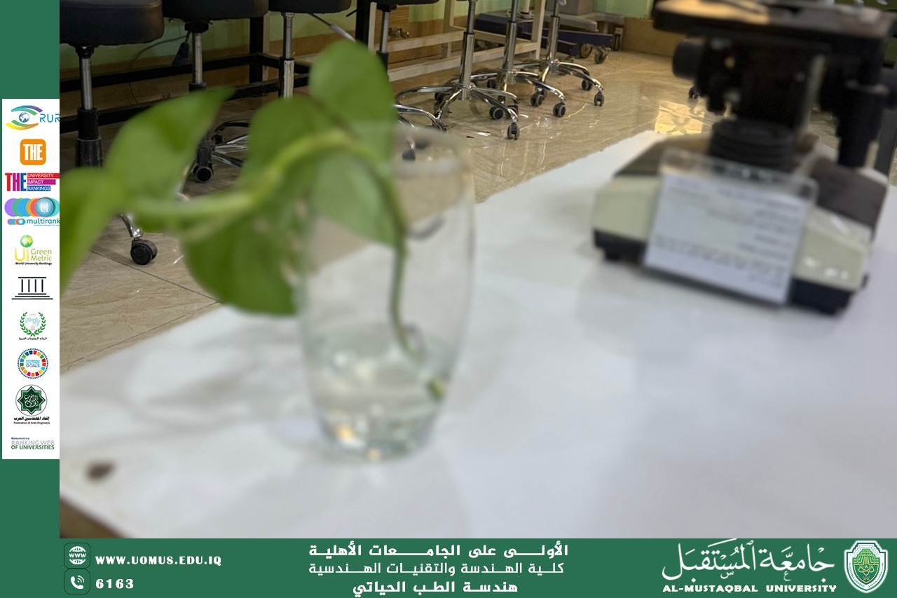 اللمسة الخضراء في مختبرات هندسة الطب الحياتي لدعم الاستدامة