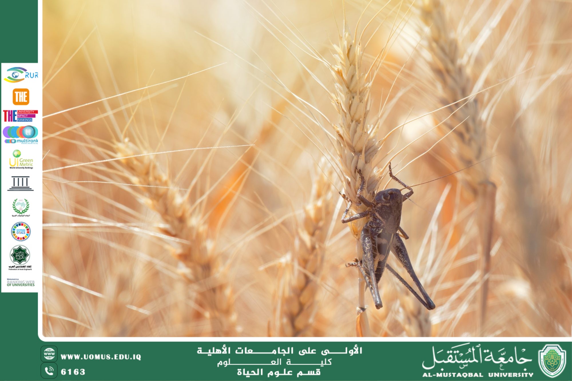 مقالة علمية للانسة نور الهدى عزمي حسن بعنوان " تأثير التغير المناخي على انتشار الحشرات الزراعية وأثره على الأمن الغذائي "