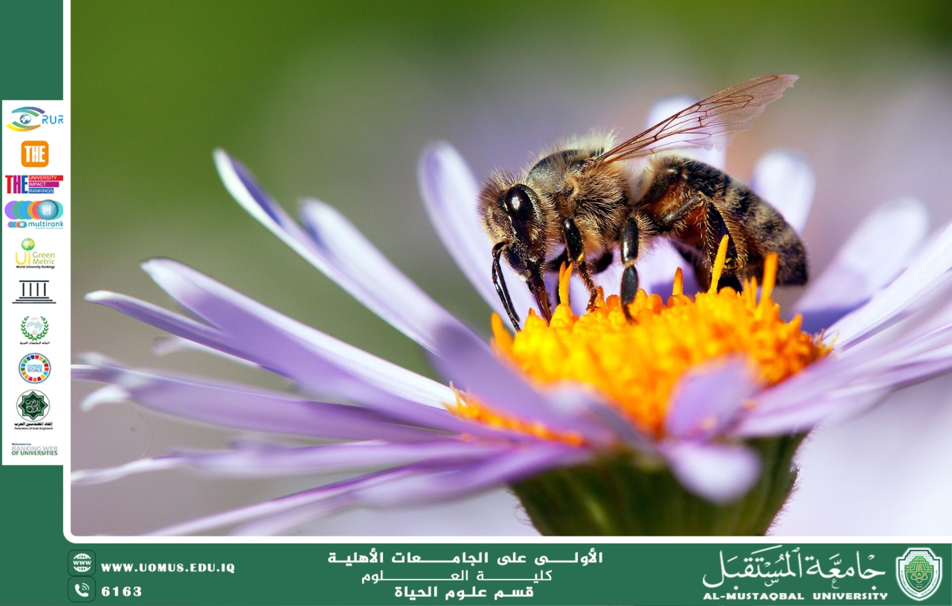 مقالة علمية للانسة نور الهدى عزمي حسن بعنوان " الحشرات النافعة "