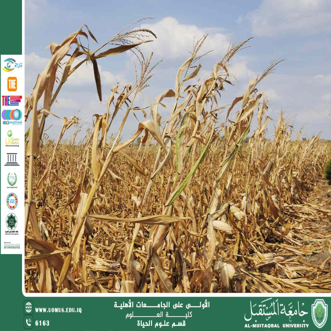 مقالة علمية للانسة نور الهدى عزمي حسن بعنوان "تأثير درجات الحرارة والأمطار على الزراعة"