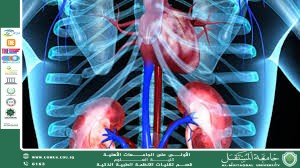 Medical Nanorobots: Between Precise Drug Delivery and Microsurgery (Asst. Lecturer: Qusay Munir Diab)