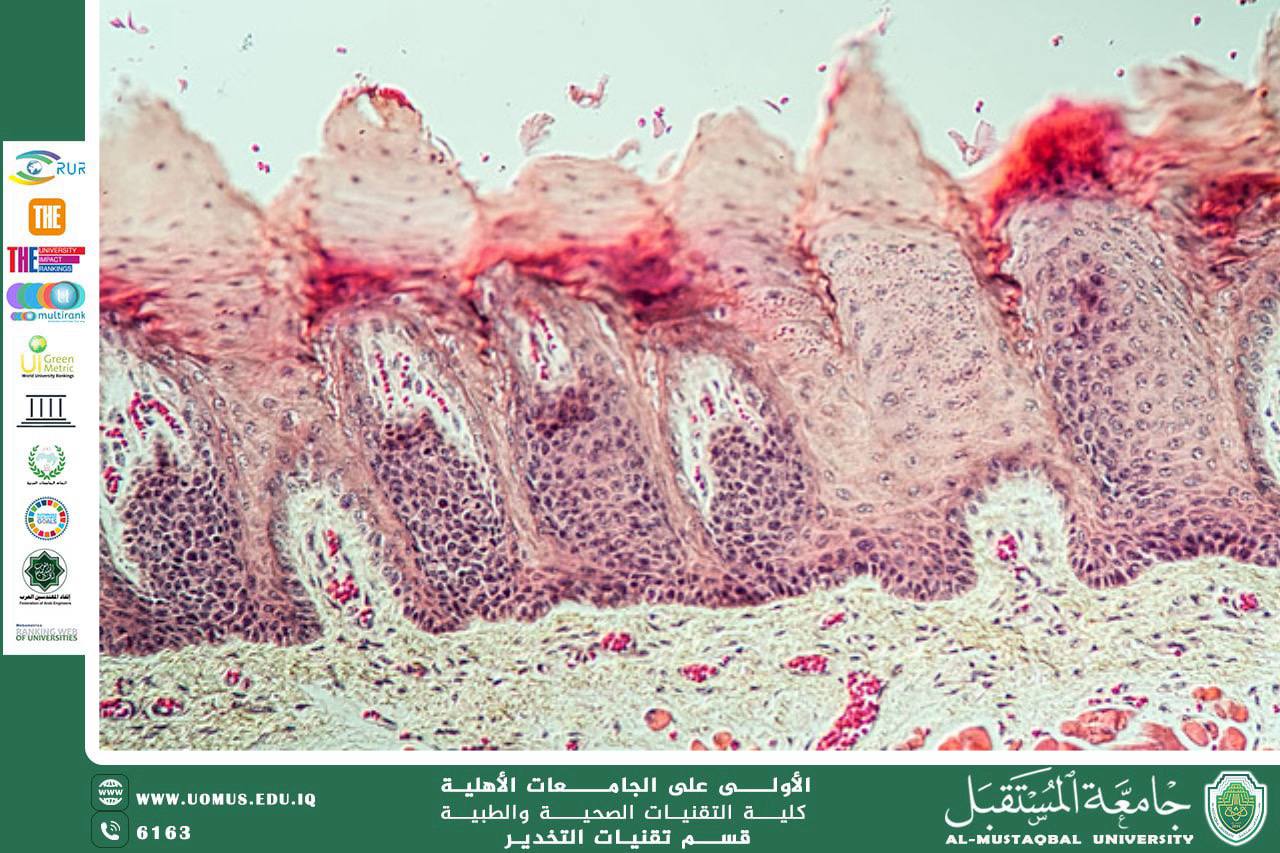 Applications of Histopathology in the Study of Animal Tumors