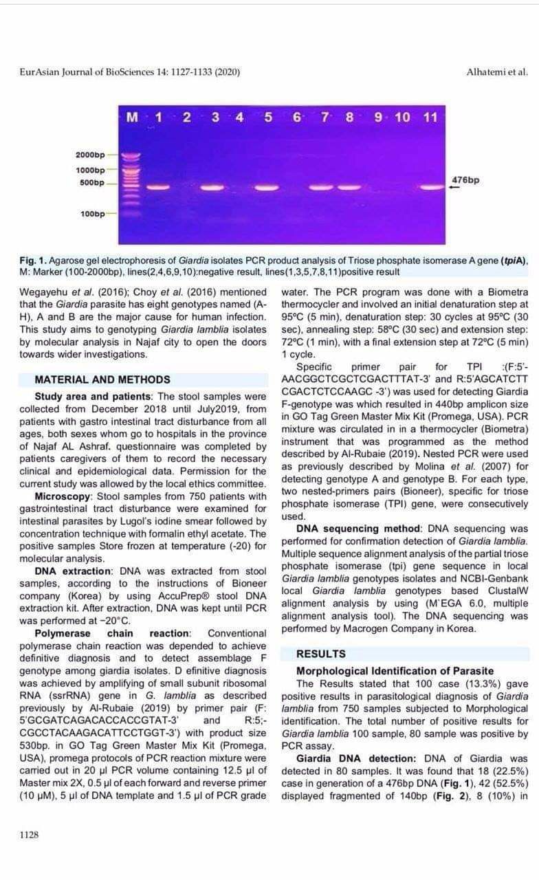   نشر مؤخراً بحثان علميان على صفحات  مجلات عالمية مصنفة ضمن قاعدة بيانات سكوبس بالاشتراك  مع مجموعة من الباحثين من كليات طب