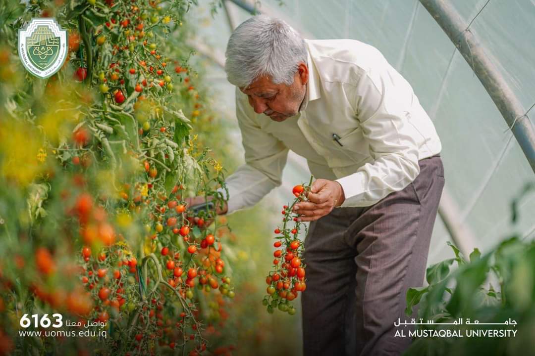 حصاد الثمار من المزارع المستدامة في جامعة المستقبل