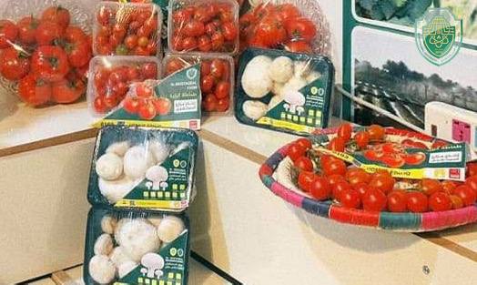 جامعة المستقبل تشارك في الأسبوع الزراعي الخامس عشر بالتعاون مع مديرية زراعة بابل