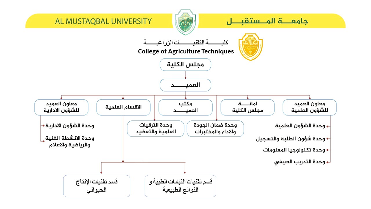 الهيكل التنظيمي